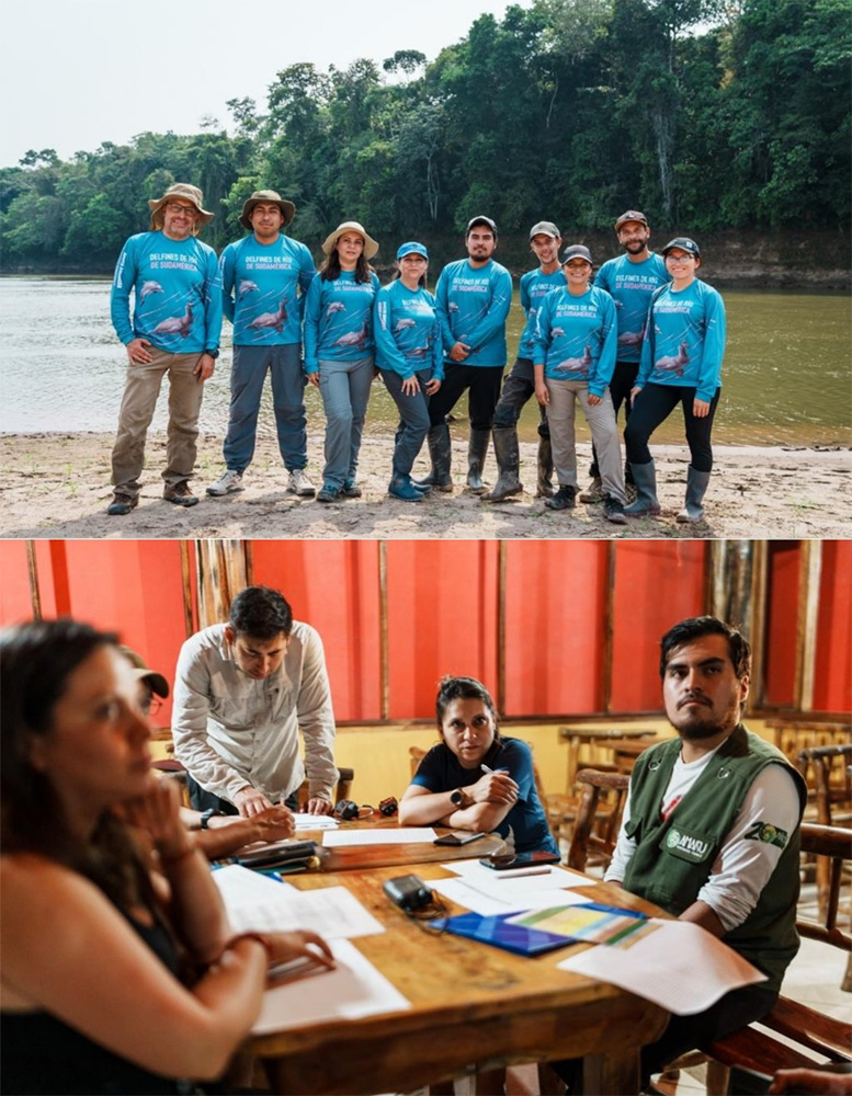 Delfines de río en el Morona: una esperanza para la Amazonía